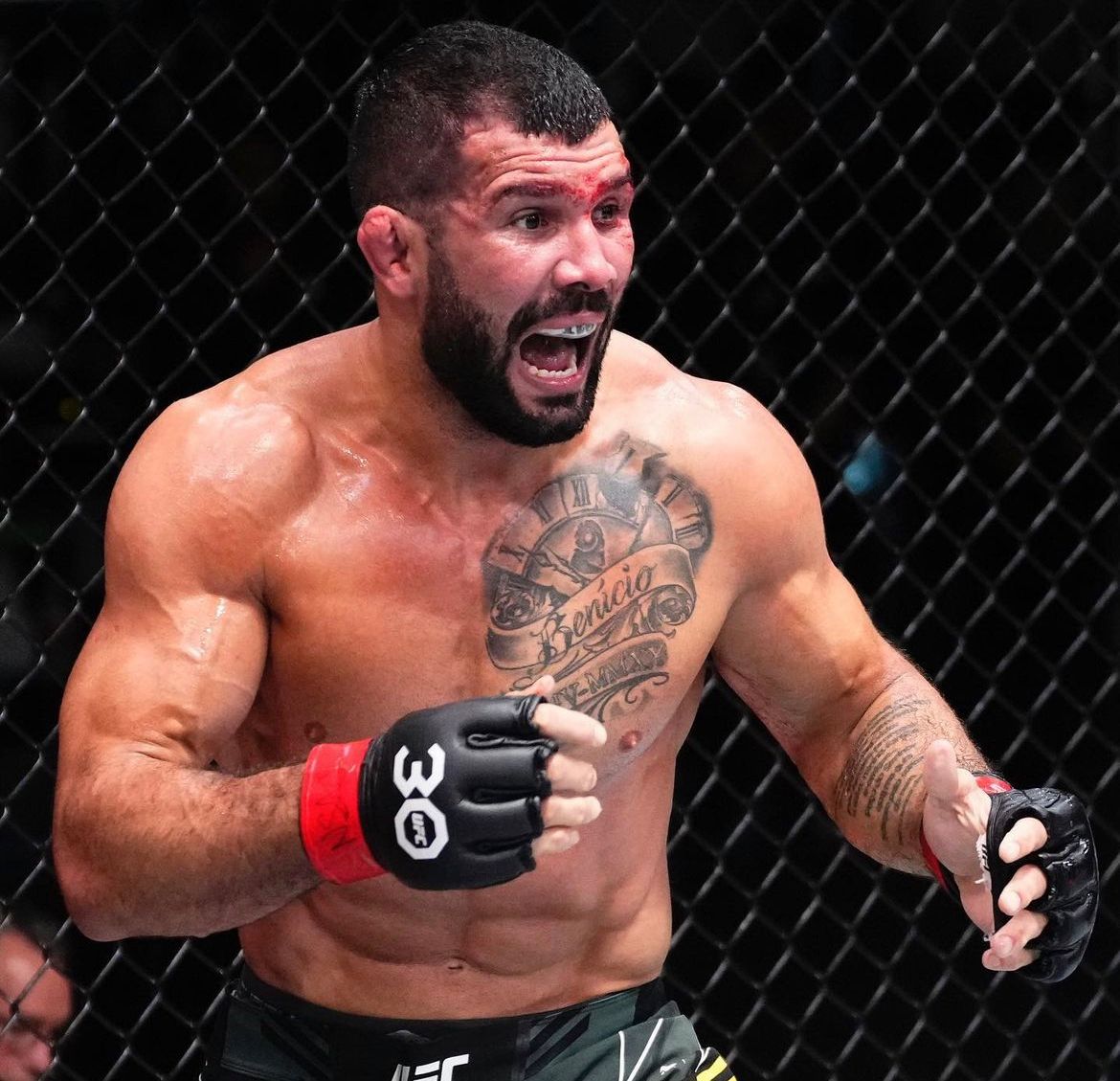 Ufc Vegas Rodolfo Vieira Volta A Finalizar E Fatura B Nus Graciemag