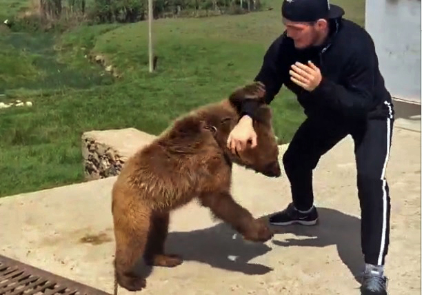 Vídeo: Khabib Nurmagomedov x “Urso sparring” 2, na Rússia